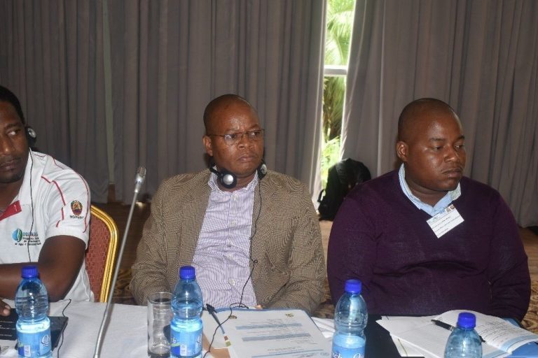 Mozambican participants during the Workshop